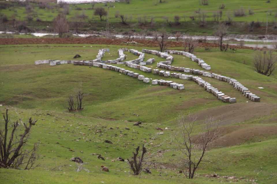 <p>Arıları yaylalara, çiçeklerin çok olduğu yerlere götürüyoruz. Her zaman arıların içindeyiz. Sadece kışın 2-3 ay uzak kalıyoruz."</p>
