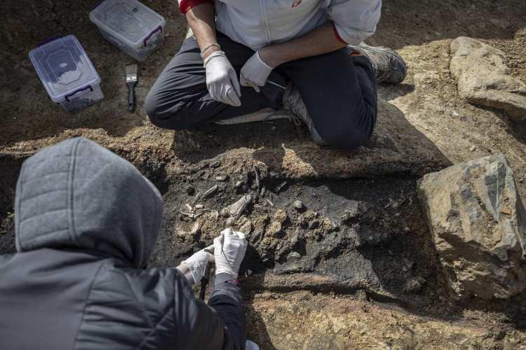 <p> Bu alandaki en erken buluntulardan biri. Mezarın içinde iki ölü hediyesi tespit ettik. Onlar da maalesef yangından dolayı tahrip olmuş. Pişmiş topraktan bir kadeh, bir de koku şişesi bulundu. Arkeologlar çalışmalara devam ediyor. Burada Helenistik dönem mezarı çıkması çok önemli kronolojisi açısından, ikincisi de kremasyon olması. Helenistik dönem bu tip kremasyon mezarları ben hiç görmedim. Bu, iyi bir örnek. Önümüzdeki süreçte belki bizlere çok daha kıymetli bulgular verecek."</p>
