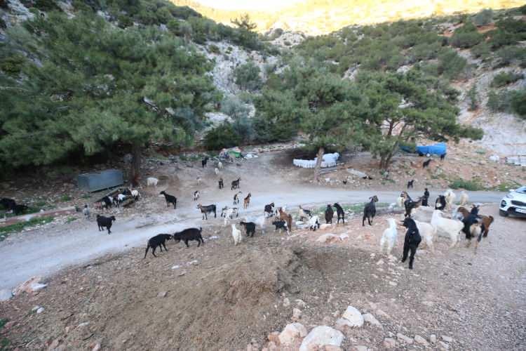 <p>Dronun bana çok faydası oldu. Hiç pişman değilim. Diğer arkadaşlarıma da tavsiye ederim. Bu tür teknolojik imkanlardan faydalanabilirler."</p>