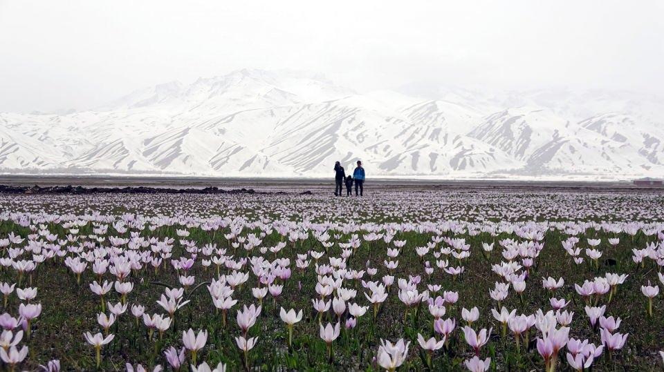 <p>Hakkari'nin Yüksekova ilçesinde, baharın müjdecisi kardelenler çiçek açtı.</p>
