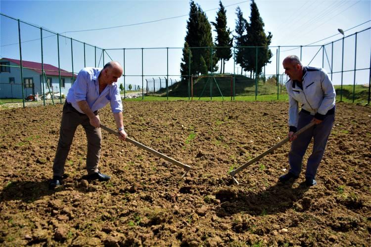 <p>Kocaeli’nin Bağlıca Köyü’ne İzmit Belediyesi futbol sahası söz verdi. Saha 3 yıldır tamamlanmayınca vatandaşlar ilginç bir protestoya imza attı. Futbol sahası alanına soğan eken köy halkı, "Bari bir işe yarasın" dedi.</p>