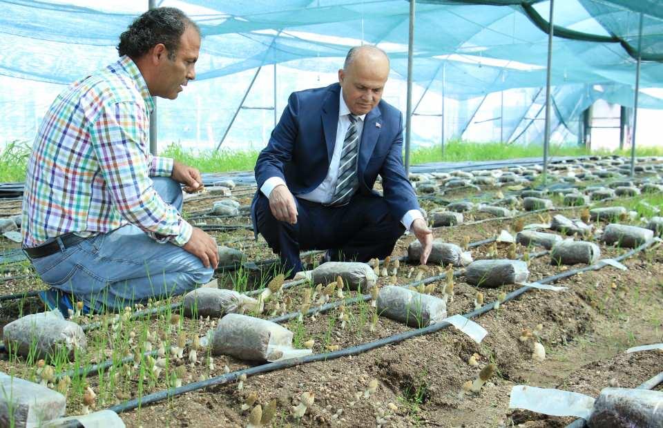 <p>Kurutulmuş halinin 3 bin TL olduğu mantarın enstitüdeki Ar-Ge çalışmalarının ardından projenin hayata geçirileceği ve üretimin süreceği ifade edildi.</p>
