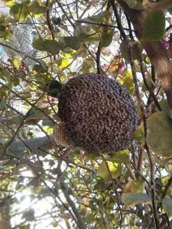 <p>İşte dünyanın en korkunç anları...</p>