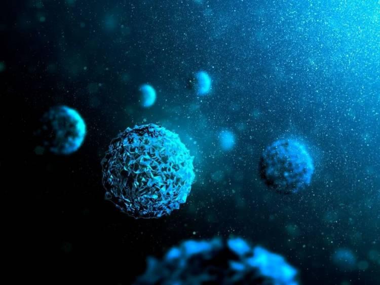 <p>ABD’li bilim insanları tarafından yapılan yeni bir araştırmaya göre, okyanuslarda 5 bin 500’den fazla yeni virüs türü tespit edildiği açıklandı.</p>

<p> </p>
