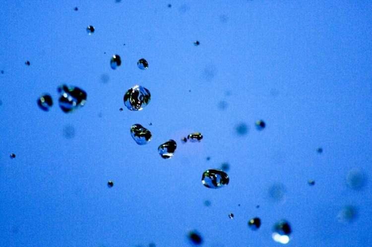 <p>Araştırma ile ilgili konuşan Ohio Eyalet Üniversitesi'nde mikrobiyoloji profesörü olan çalışmanın baş yazarı Matthew Sullivan, "Çok fazla yeni çeşitlilik var ve okyanusların her yerinde yeni bir filum olan Taraviriicota bulundu, bu da ekolojik olarak önemli olduklarını gösteriyor" diye konuştu.</p>
