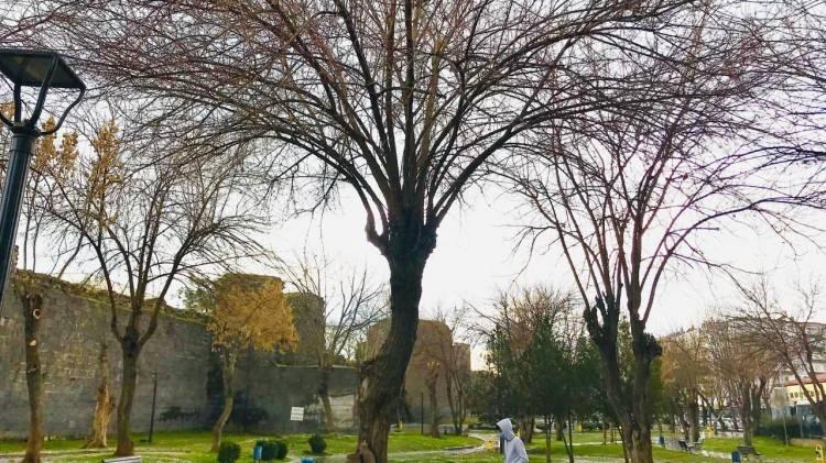<p> Diyarbakır<br />
Salı - Yağmurlu</p>
