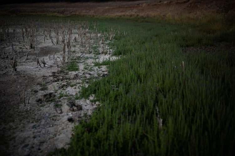 <p>13 yıldır kuraklıkla mücadele eden 6 milyon nüfuslu şehrin valisi Claudio Orrego düzenlediği basın toplantısında planı duyururken, "Bir şehir susuz yaşayamaz" dedi.</p>

<p> </p>
