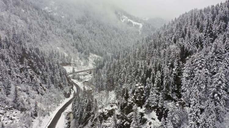 <p>Giresun'un yüksek rakımlı bölgelerinde kar yağışı etkili oluyor.<br />
 </p>
