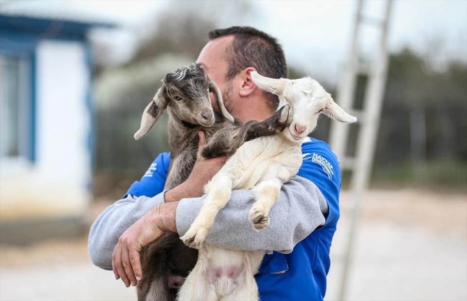 <p>Sahiplenmek için gittiği bir köpeğin kaldığı kötü koşulları gören 32 yaşındaki Demir, bunun üzerine harekete geçerek küçük bir barınak kurma kararı aldı. Emre Demir, bir giyim mağazasındaki müdürlük görevini de bırakarak kısa sürede onlarca terk edilmiş ve bakıma ihtiyaç duyan köpeği sahiplendi ve ihtiyaçlarını giderip tedavileriyle ilgilendi.</p>

<p> </p>
