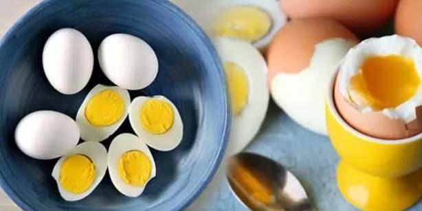 <p><span style="color:#800080"><strong>Yüksek kaliteli protein kaynağı olan yumurta ramazan ayında da dengeli beslenmeye destek veriyor. Oruçla birlikte günlük tüketilen öğün sayısının azalmasından dolayı tüm gün aç kalan vücudun tok ve enerjik olması için uzmanlar sahurda yumurta tüketilmesini öneriyor.</strong></span></p>
<p> </p>
<p> </p>