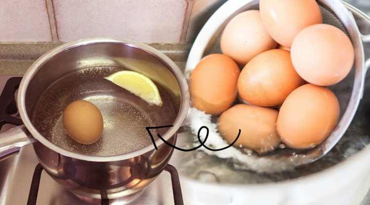 <p><span style="color:#800080"><strong>Yumurta, içerdiği protein bakımından en sağlıklı yiyeceklerden arasında yer alıyor. Hem doyurucu hem de lezzetli olan yumurtadan yararlanmak için bilmeniz gereken bazı detaylar bulunuyor. Özellikle kaynatma işlemi sırasında yumurta kabuğunun kırılma, çatlama riskini yok eden bu yönteme çok şaşıracaksınız. Yumurta haşlanırken limon neden konur? İşte çok merak edilen sorunun cevabı </strong></span></p>
