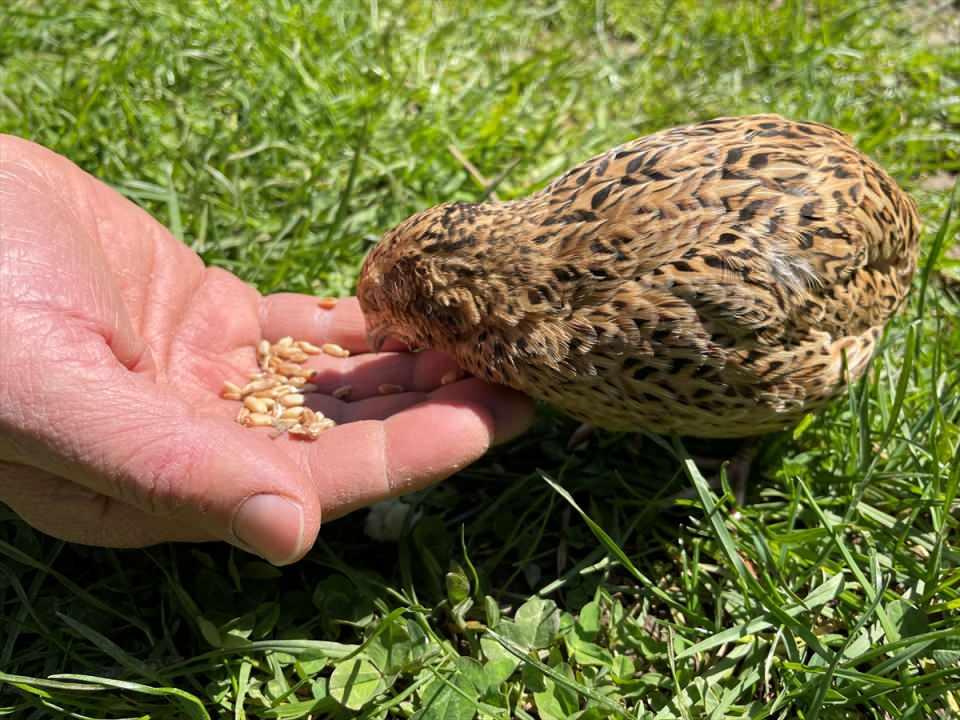 <p>Tesise sık sık geldiğini anlatan Yunus Emrah Dönmez, küçüklüğünden itibaren Edi'yi bildiğini ve sosyal medyadan da takip ettiğini söyledi.</p>

<p> </p>
