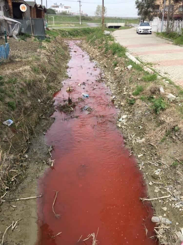<p>Tekirdağ’da Marmara Denizine akan dereyi kırmızıya boyayan plastik ve geri dönüş fabrikasına 1 milyon 799 bin 779 TL ceza kesilerek, fabrika faaliyetten men edildi.</p>
