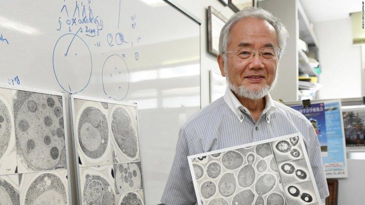 <p><strong>2016 yılında İsveç Nobel Vakfı tarafından seçilen ve Nobel Ödülü alan Japon bilim insanı Yoshinori Ohsumi, geçtiğimiz yıl koronavirüs sonrası geliştirdiği bağışıklık sistemi en hızlı nasıl güçlendirilir tezinde oruca da yer verdi. Ohsumi, orucun insan üzerindeki inanılmaz etkilerini açıkladı.</strong></p>
