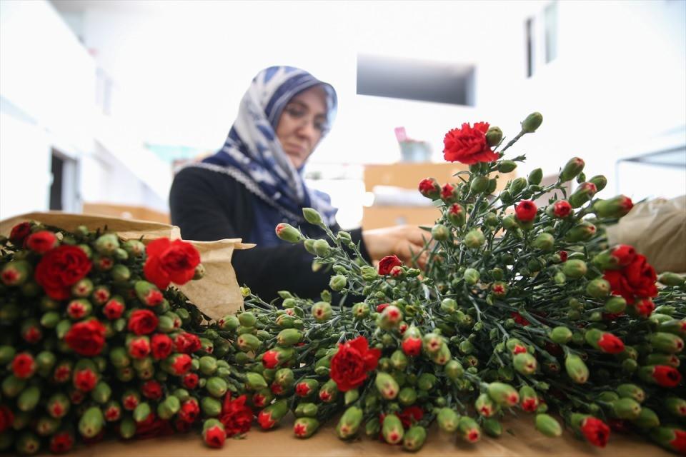 <p>Anneler Günü sevkiyatlarının da sektörün yüzünü güldürdüğünü dile getiren Yılmaz, Anneler Günü'nün İngilizlerde mart sonu, tüm dünyada ise mayısın ikinci pazarında kutlandığını anımsatarak hareketli bir dönem geçirdiklerini söyledi.</p>

<p> </p>
