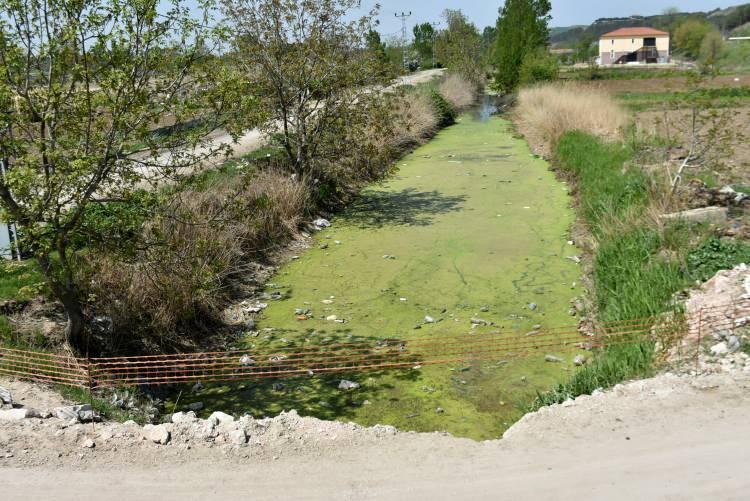 <p>'ESKİDEN BALIK TUTUYORDUK'</p>
<p>Bölge halkından Ramiz Millet, derenin önceki yıllarda temiz aktığını söyledi. Derenin geçen yıl temizlendiği ancak atıklarla tekrar kirletildiğini belirten Millet, "Biz burada eskiden balık tutuyorduk. Buralar çok temizdi. Şimdi buralar çok pis durumda. Avrupa'dan giriş kapımız var ama ben bu mahallede olmaktan utanıyorum. Buraya geçici değil de kalıcı çözümler istiyoruz. Geçen sene temizlendi ama yine aynı oldu. Geçici bir şeyler yaptılar, temizlediler ama şu anda yine aynı. Değişen hiçbir şey yok, halkımız atıyor. Temiz olması lazım ama atıyorlar. Her şeyi yığıyorlar. </p>