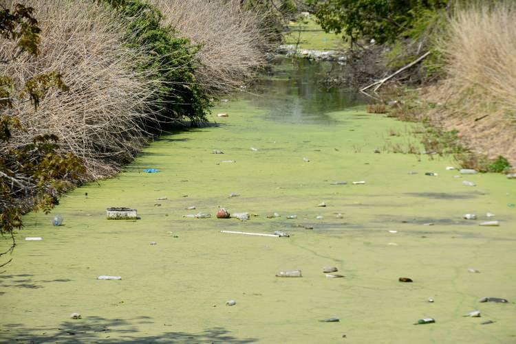 <p>Plastik, sanayi ve evsel atıkların öbek oluşturduğu derede, hayvan çiftliklerinden atılan atıklar da çevre kirliliğine neden oluyor. Çöplüğe dönen derede at ölüsünün olduğu da görüldü. </p>
