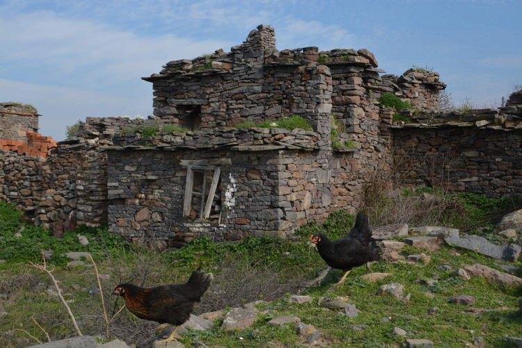 <p>Terk edilmeden önce köyün merkez niteliğinde olduğunu söyleyen Hacıömerli Mahallesi Muhtarı Suat Ural, “Köyümüzde; yağhane, terzi, bakkal, nalbant varmış. Köyümüz, civar köylerin alışveriş yaptığı bir köy konumundaymış. Göç başladıktan 30 sene sonra köy tamamen boşaldı.</p>
