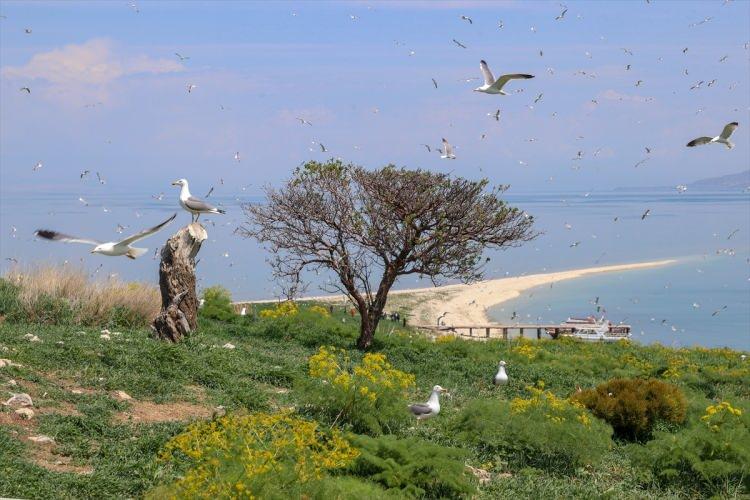 <p><strong>- "Turizmin gelişmesi için 13 farklı etkinlik düzenledik"</strong></p>

<p>Büyükşehir Belediyesi Kültür Şube Müdürü Muhlis Kaya da ekimden bu yana turizmin gelişmesi için 13 farklı etkinlik düzenlediklerini belirtti.</p>

<p> </p>
