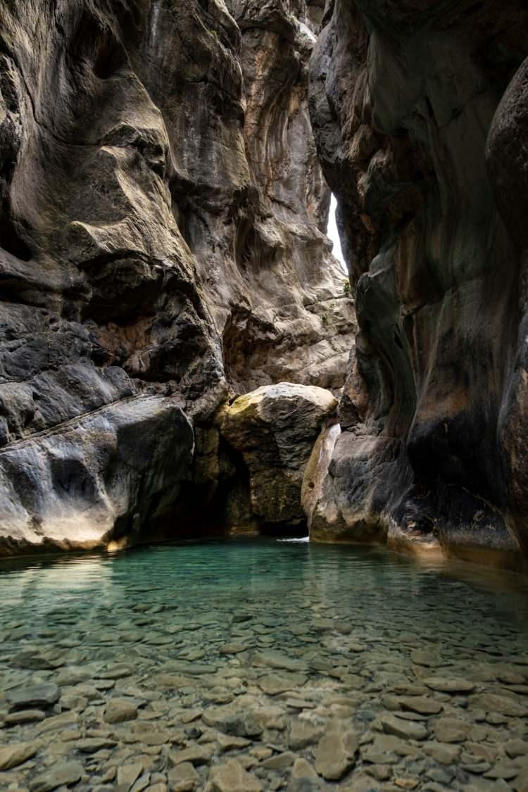 <p> Bu fotoğrafları da çevremizdeki insanlara göstermeyi amaçlıyoruz. Çok da güzel kareler yakaladık. Güneşin açısıyla beraber güzel fotoğraflar çıktı” diye konuştu.</p>

