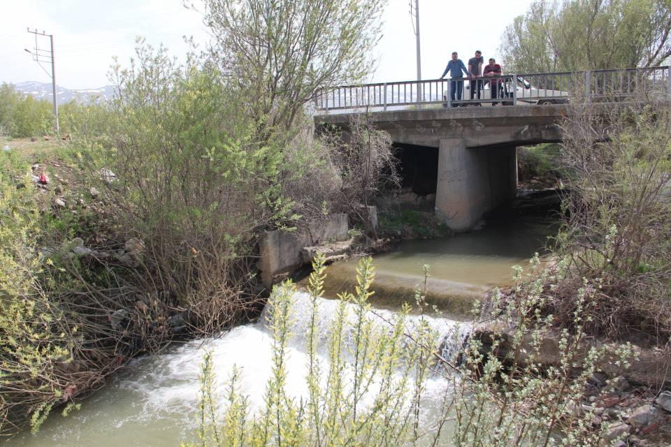 <p>Balıkların bu şekilde atlaması çok güzel şey ama yavrulama sezonu bunların tutulmaması gerekiyor. </p>
