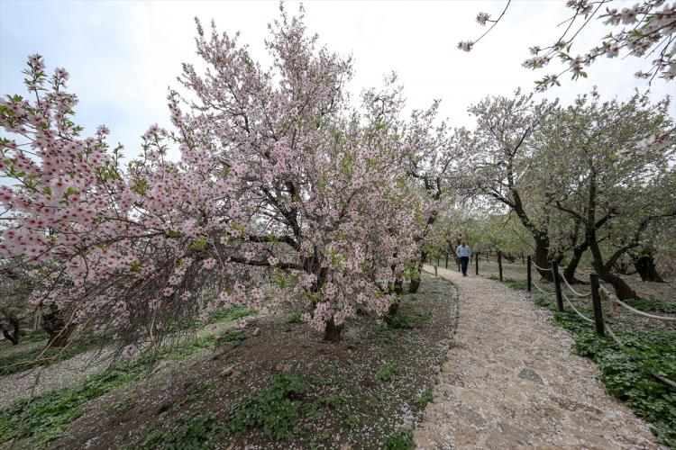 <p>Masmavi gölün ortasında "arkeolojik sit alanı" ilan edilen ada ve üzerindeki tarihi yapılar ile yeşil ve mavinin buluştuğu derin vadilerde bulunan koylar, kente gelenlerce ziyaret ediliyor.</p>

<p> </p>
