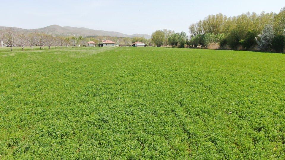 <p>Kışın kayak merkeziyle, yazın sahilleriyle Akdeniz ve Ege'yi aratmayan ilçe zengin florası ile dikkat çekiyor. Hazar gölü içerisinde bulunan ve dalış turizmi için ön plana çıkan Batık Şehri ve ortasında bulundurduğu tavşan ve martı adası ile ön plana çıkan sevimli ilçe Sivrice, yerli ve yabancı misafirlerini ağırlamayı bekliyor.</p>
