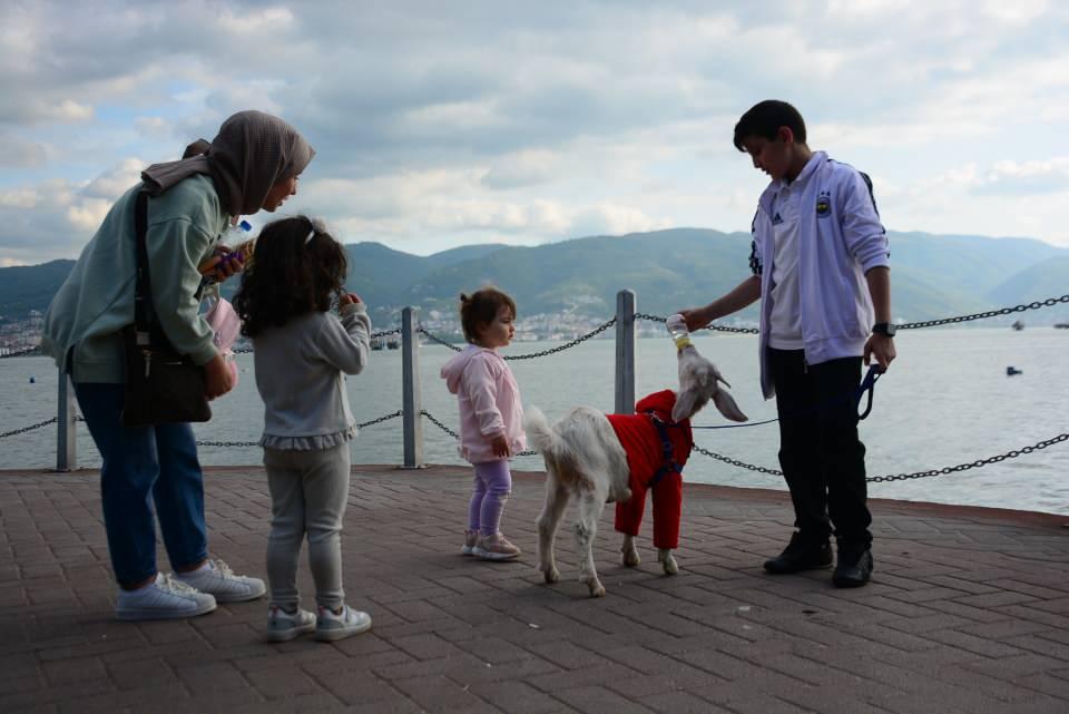 <p>Çünkü herkes kedi, köpek gezdirirken ben keçi gezdiriyorum. Huzur büyüse de onu bırakmam, onu yine gezdiririm. </p>
