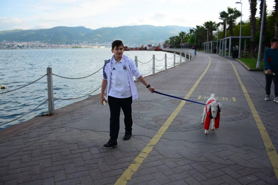 <p>Ona evde bir süre baktık, komşularımız rahatsız olunca küçük bir kulübede bakmaya başladım. Oğlağın ismini bana huzur vermesi sebebiyle 'Huzur' koydum. 'Huzur' diye seslenince hemen yanıma geliyor, onu biberonla besliyorum" dedi.<br />
 </p>
