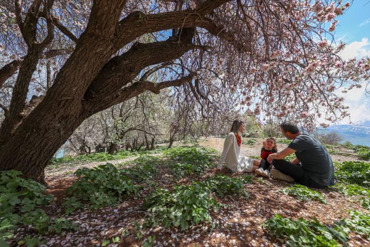 <p><strong>- Akdamar Adası'na 25 bin ziyaret</strong></p>

<p>İl Kültür ve Turizm Müdürü Erol Uslu, AA muhabirine, bu yılın, Van turizminin en parladığı yıllardan biri olarak ön plana çıktığını ifade etti.</p>

<p> </p>
