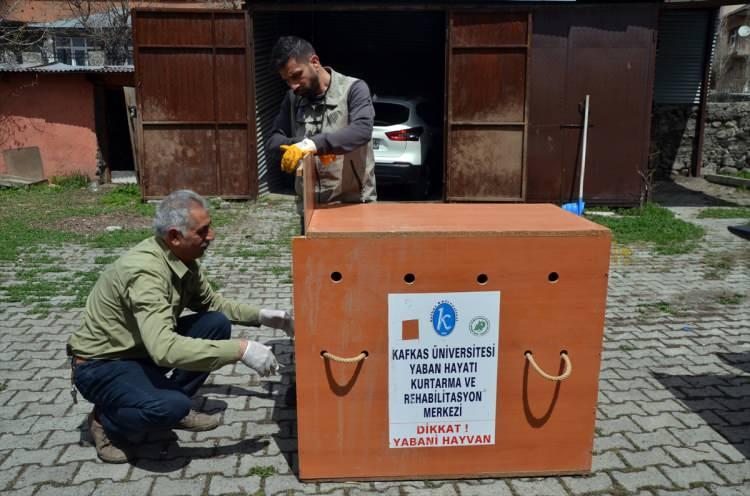<p>Kanadından yaralı sanırım çünkü uçamıyor. Tedavisi yapıldıktan sonra doğaya salınacak." dedi.</p>
