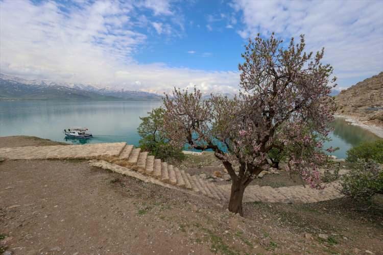 <p>Van'a gelen yerli ve yabancı turistler, teknelerle göldeki bu adaları gezme fırsatı buluyor. Ziyaretçiler ayrıca yumurtalarını bırakmak için adaya yuva yapan martıların da görsel şölenine tanıklık ediyor.</p>

<p> </p>
