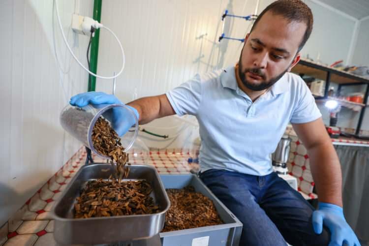 <p>Emel Erdal Çalıkoğlu, sosyal proje olarak bir zincir mağaza firması ile iş birliği yaptıklarını ve küçük aile tipi tavuk işletmelerine ücretsiz larva sağladıklarını da sözlerine ekledi.</p>
