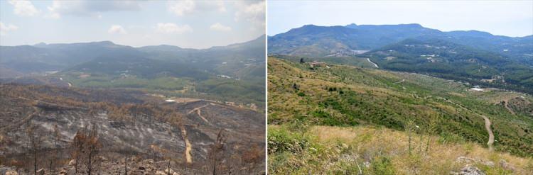 <p>Ege ve Akdeniz'de farklı yıllarda çıkan orman yangınlarında zarar görüp yeniden ağaçlandırılan 13 bölgenin "öncesi ve sonrası" fotoğrafları Orman Genel Müdürlüğü internet sitesinden yayınlandı.</p>
