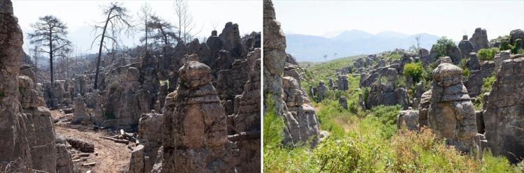 <p><strong>Çanakkale</strong></p>

<p>İntepe’de 30 Temmuz 2008'de sabah saatlerinde başlayan orman yangını 12 gün sonra tamamen söndürüldü. Yangında 1464 hektar ormanlık alan zarar gördü. Bölgeye 1 ton meşe tohumu ve 2 milyon 267 bin fidan dikildi. Yanan alanların büyük oranda kendini onardığı görüldü.</p>
