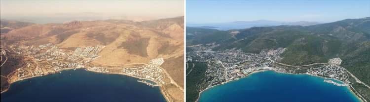 <p><strong>Balıkesir</strong></p>

<p>Ayvalık’ta 2020 yılı Ağustos ayında meydana gelen ve birkaç saat süren yangında 200 dönümlük ormanlık alan yandı. Bölgede 10 bin 250 fıstık çamı, 7 bin yalancı akasya, 6 bin 100 karaservi ve 10 bin kızılcam fidanı dikilmesiyle ormanlaşma süreci tekrar başladı.</p>
