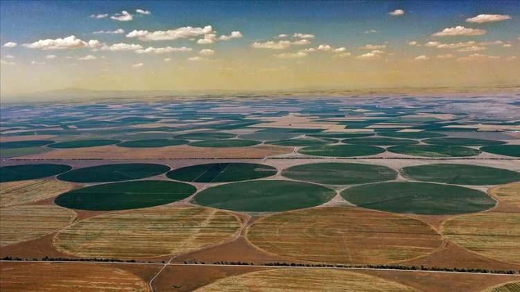 <p>Konya, toplamda en çok tarım arazisine sahip il olarak dikkati çekerken tarım arazilerinin büyüklüğü 18 milyon 587 bin dekar olarak hesaplandı.</p>