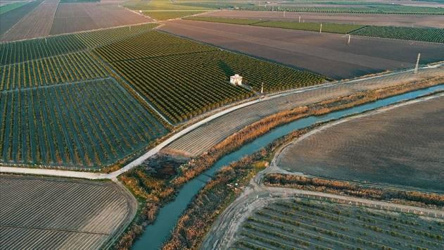 <p>Konya'yı 11 milyon 636 bin dekarla Ankara takip etti.</p>