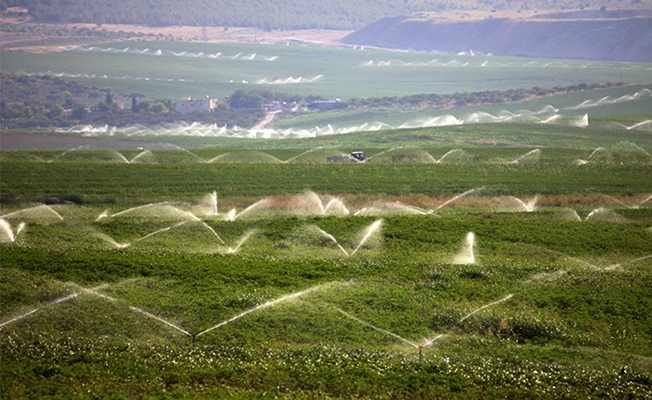 <p>Şanlıurfa'da 10 milyon 444 bin dekar,</p>