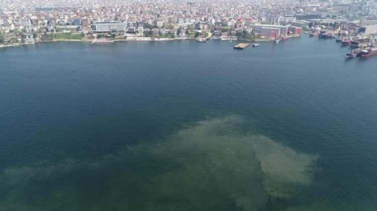 Marmara için umut veren açıklama: Direniyor