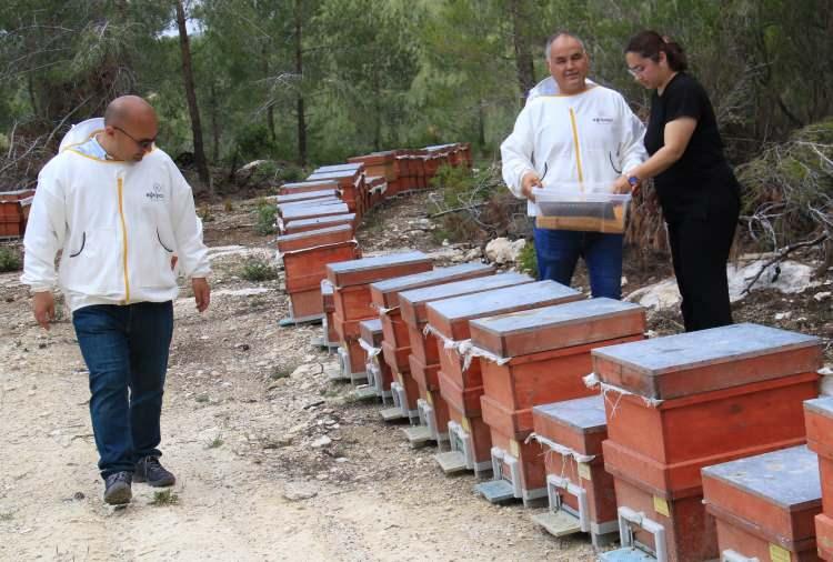 <p>Geçimini bundan sağlayan yaklaşık 3 bine yakın arıcımız var. Bir o kadar da hobi tarzı kendi yiyeceği balı üreten arıcı mevcut. Şimdi burada polen hasadı yapmaktayız, bu mevsimde. Rengarenk ve çok kaliteli. </p>