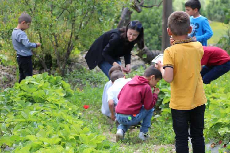 <p>Toplamda 70 çiftçinin bulunmakta olduğunu belirten İnan, “Bunların 10 tanesi direkt ev ekonomisine katkı sağlarken diğer 60 küçük çaplı kümesler olmak üzere destek amaçlı kuruldu.</p>
