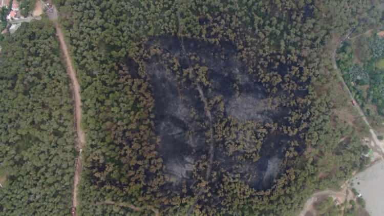 <p><strong>BURDUR'DA DA ORMAN YANGINI</strong></p>

<p>Burdur'un Bucak ilçesinde de orman yangını çıktı. Yangına havadan ve karadan müdahale ediliyor. Yangının düşen yıldırım sonucu çıktığı iddia ediliyor.</p>
