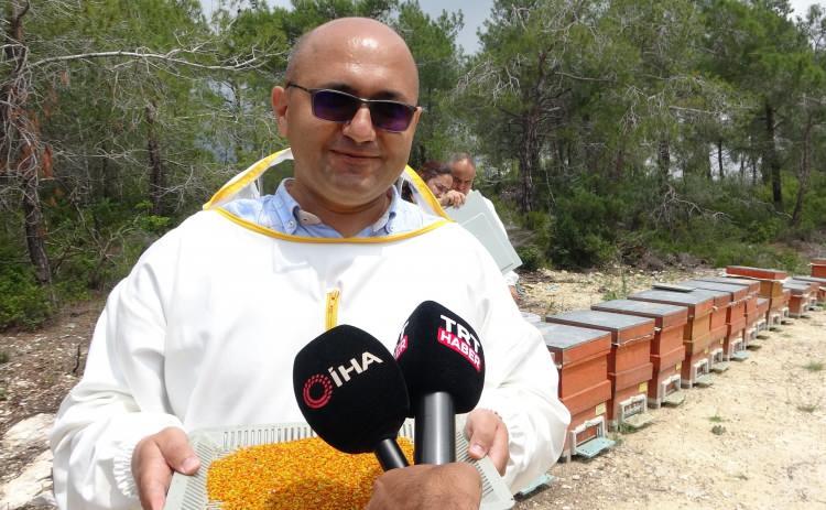 <p><strong>“3 bin arıcı üretim yapıyor”</strong></p>
<p>Mersin’in arıcılıkta ilk beşlerde olduğunu aktaran Arı Yetiştiricileri Birliği Başkanı Adem Kurt, "Mersin Toroslar da kaliteli bal akımının olması, hem de sıfır rakımda sahilde olmasından dolayı gerçekten arıcılığa uygun bir kentimiz.</p>