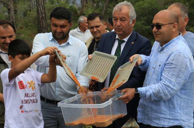 <p>Bu da önümüzdeki yıl 36 olacak, daha sonra da artış gösterecektir. Bulunduğumuz yerde de polen hasadı gerçekleştirdik. Bu gördüğünüz polen, binlerce arının bir günde yaptığı hasat, bu kadar. Gördüğünüz gibi arı ne kadar çok çalışmış, ne kadar çok verimli bir üretim gerçekleştirmiş” dedi.</p>