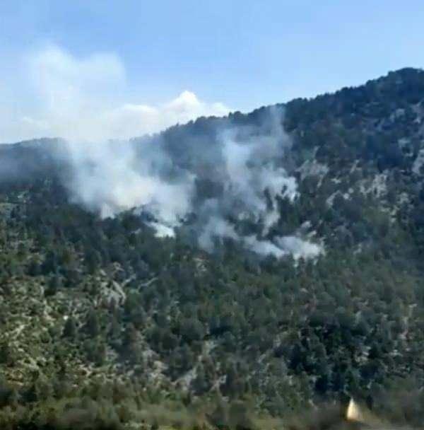 <p>Antalya'da iki noktada orman yangını</p>
<p> </p>
<p>Serik ilçesi yakınlarındaki yangın, saat 13.00 sıralarında, Taşağıl-Beşkonak yolundaki Kaymaz mevkisinde çıktı. 2008'de yanan ve 2009'da fidan dikilen bölgeden yükselen dumanlar nedeniyle söndürme ekipleri alana sevk edildi. Taşağıl Orman İşletme Müdürlüğü ile Büyükşehir Belediyesi itfaiye birimi ve Manavgat Belediyesi tarafından su tankerleriyle müdahale edilen yangın, büyümeden kontrol altına alındı. Küçük alandaki yangın sonrası soğutma çalışması sürüyor.</p>
<p>Diğer yangın ise Antalya-Burdur sınırına yakın bölgede, Bucak ilçesi Karaot köyü yakınındaki ormanda çıktı. Yıldırım düşmesiyle başlayan yangın, Antalya Orman Bölge Müdürlüğü ekiplerinin havadan müdahalesiyle kısa sürede söndürüldü. Orman Genel Bölge Müdürlüğü de sosyal medya hesaplarında bu yangına havadan müdahale anlarını paylaştı.</p>