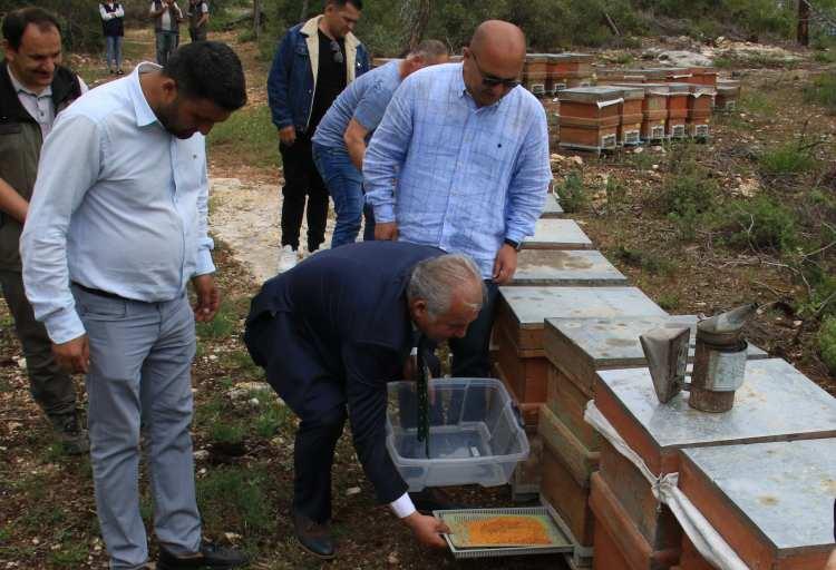 <p>Burası zaten orman bakanlığımızın bize tahsis ettiği bal ormanı. Bu tür yerlerde konaklama yaparaktan hasatlarımızı elde etmekteyiz. Gerçekten arıcılıkta heves de, üretim de, kalite de hızla artmaktadır" ifadelerini kullandı</p>