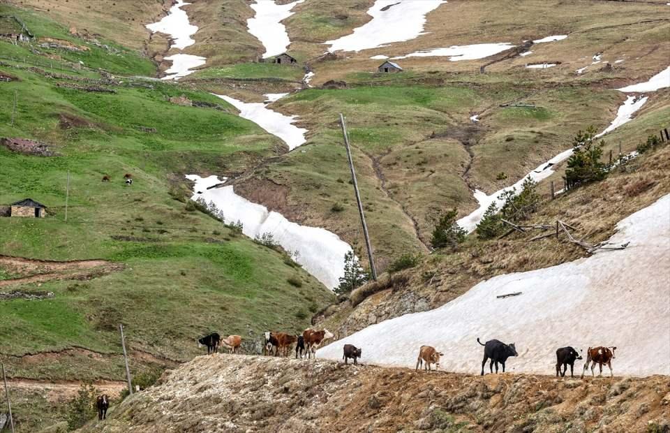 <p>Sezgin, Limni Gölü'ne yabacı turistlerin daha fazla ilgi gösterdiğini sözlerine ekledi.</p>
