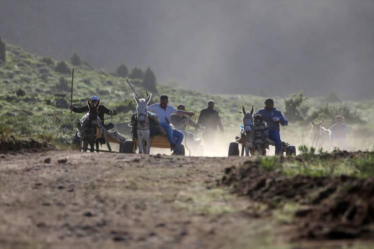 <p>D&uuml;zenlenen yarışmaya Gevaş Kaymakamı Bayram Yıldız, Gevaş Belediye Başkanı Murat Sezer, fotoğraf sanat&ccedil;ıları ve vatandaşlar katıldı.</p>
