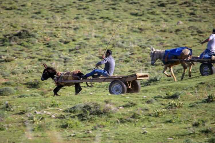 <p>Memnuniyet hat safhada ve herkes bu konuyla alakalı g&uuml;zel fikirlerini bizimle paylaşmaktadır. Katılım &ccedil;ok fazla.&nbsp;</p>
